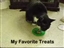 My cat thinks it's cat treats
