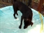 Cooling Off