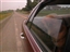 Dog Transporting