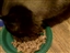 Product review on Selects Indoor Braised Beef from Michele - Jul 23rd, 08