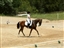 Brett's dressage at riverglen, part 1 (after 3 weeks off!)