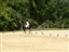 Brett's dressage at riverglen, part 2