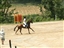 Devil's show jumping at Riverglen, NH--he came in 2nd!