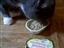 Product review on Wholesome Goodness from Michele - Aug 4th, 08