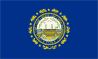 New Hampshire State Flag