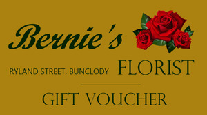 39 95696433 berniegift voucher