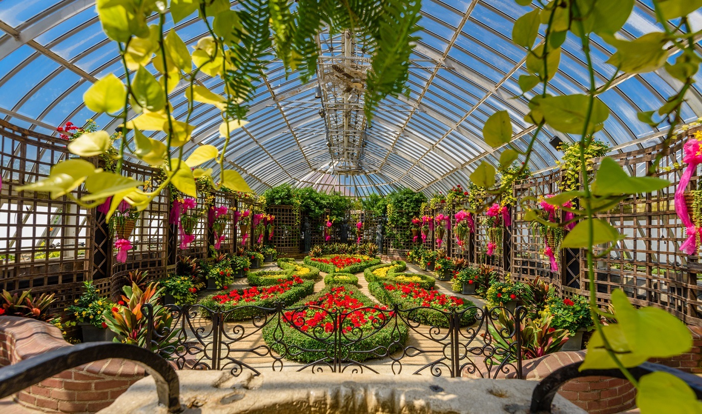 Insider’s Guide to Phipps Conservatory Flower Shows & Special Events