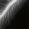 Lightningfields1282009-574x716_medium_square