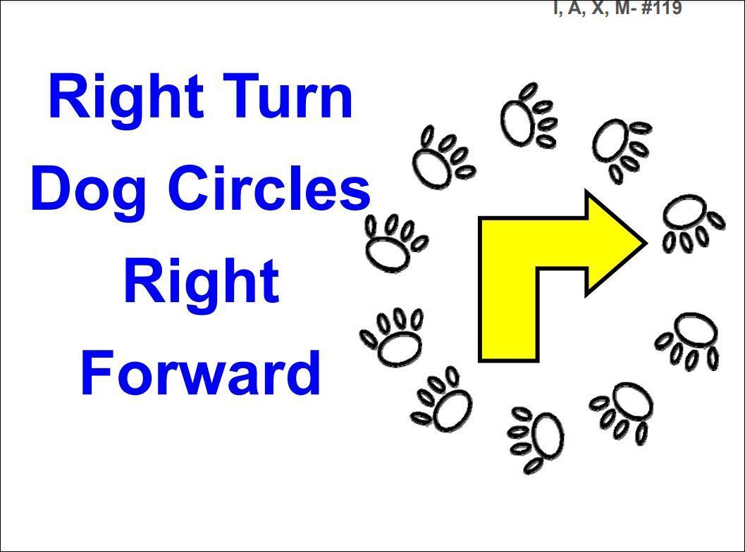 Rally Intermediate Course — Signup Sheet