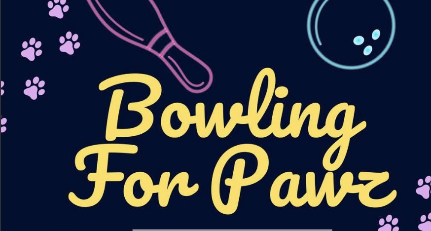 Bowling for Pawz