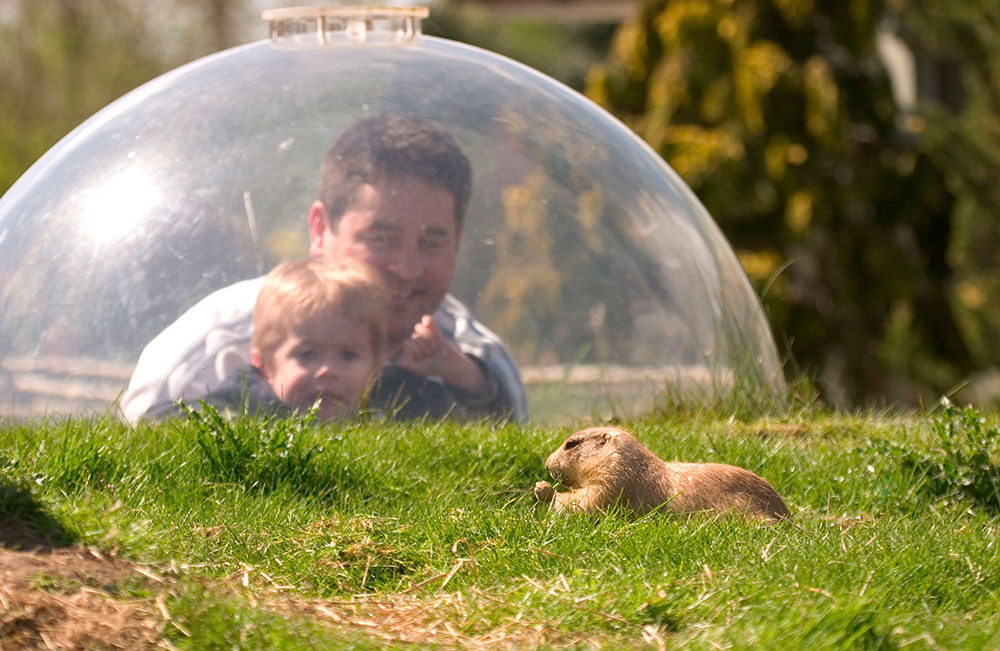 cliffs juting out into the green sea
