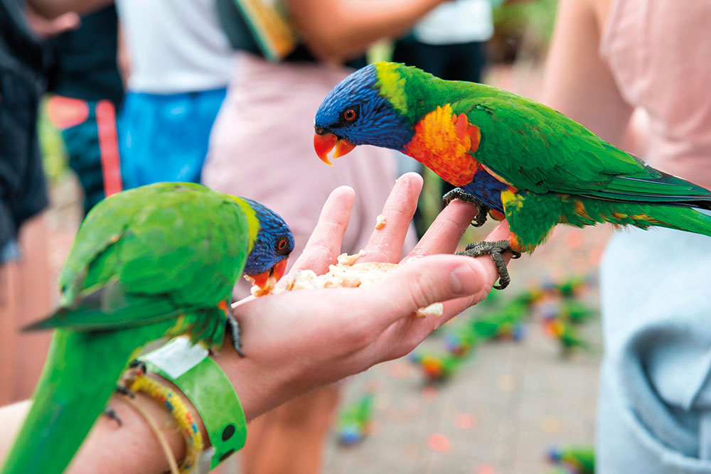 cliffs juting out into the green sea