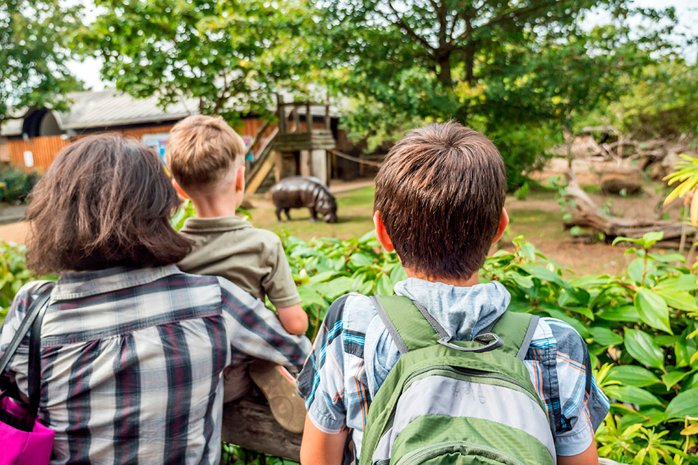 cliffs juting out into the green sea