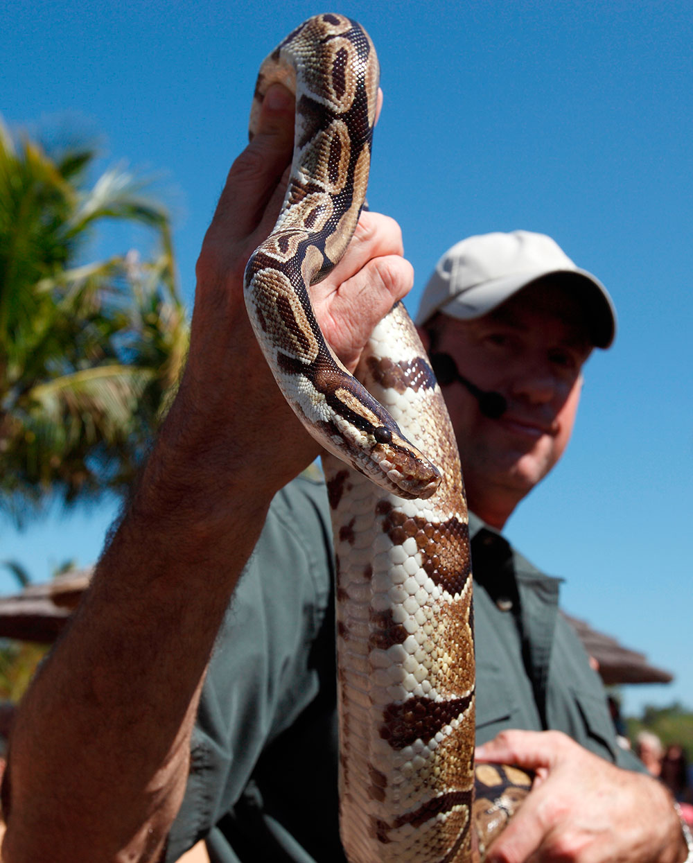 green mountains in China