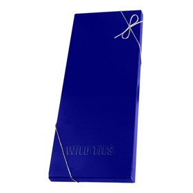 WildTies Folding Gift Box by Wild Ties blue other box