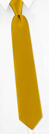 Poly Gold w pocketsquare Boys Tie by Neckties Solids - Gold Polyester Poly Gold w pocketsquare Boys Tie by Neckties Solids - Gold Polyester