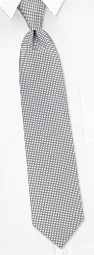 Revitalize Extra Long Tie by Principessa -  Silver Silk