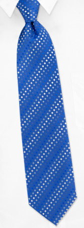 Acclamation by Principessa blue silk ties