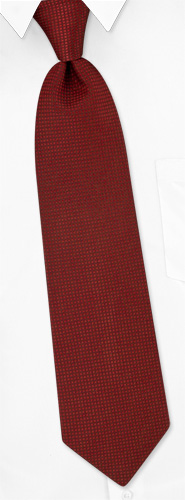 Revitalize Tie by Principessa -  Burgundy Silk
