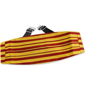 Scoula Cummerbund by Principessa - Gold Silk Scoula Cummerbund by Principessa - Gold Silk