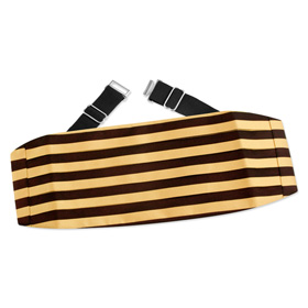 Reggimento Cummerbund by Principessa -  Gold Silk