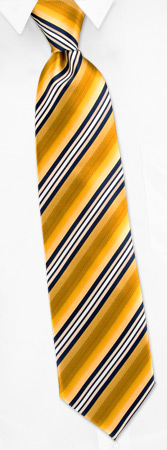 Conjuration by Principessa gold silk ties