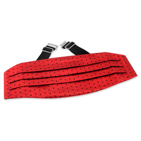 Red with Navy Dots Cummerbund by Principessa -  Red Silk