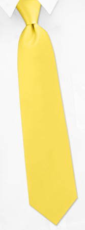 Sunshine Yellow Extra Long Tie by Elite Solid -  Yellow Silk