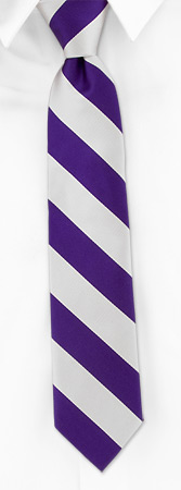 Purple and Silver Stripe Boys Tie by Elite -  Purple Silk