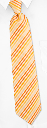 Gold Tonal Stripe Tie by Silk Rhino Neckwear - Gold Microfiber Gold Tonal Stripe Tie by Silk Rhino Neckwear - Gold Microfiber