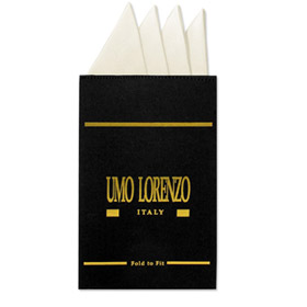 Solid Off White insert Hanky Card by Umo Lorenzo -  Off white Silk