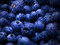 Blueberries