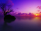 Maldivian Sunset