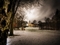 Winter Forest