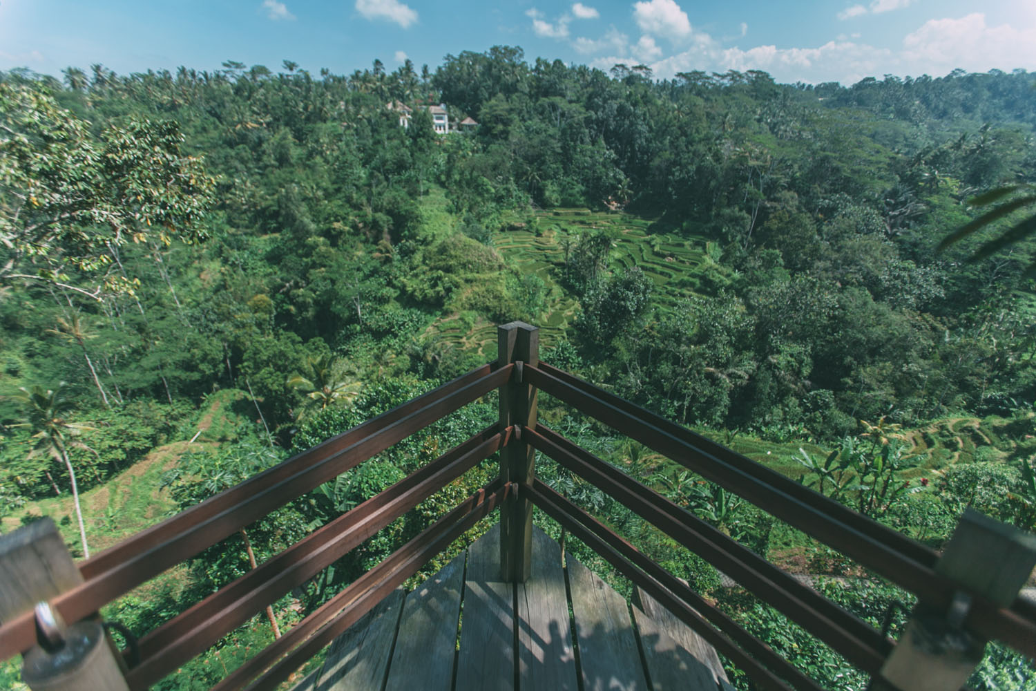 story life destination bali journey monkey forest story life destination bali journey monkey forest