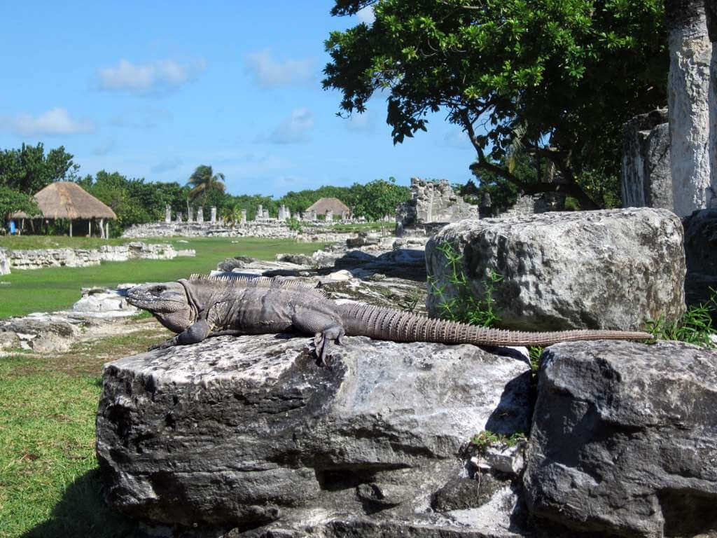 el rey ruins