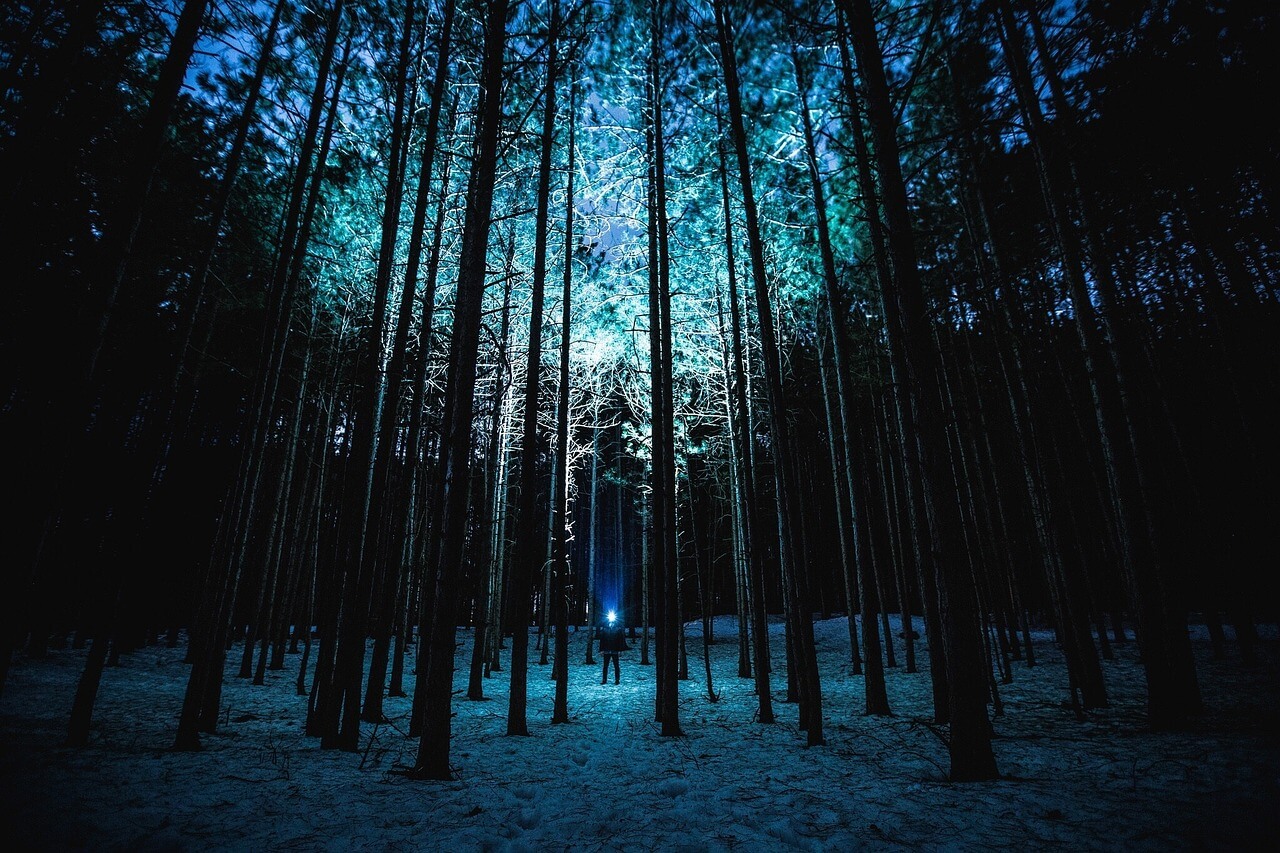 take flashlight hiking