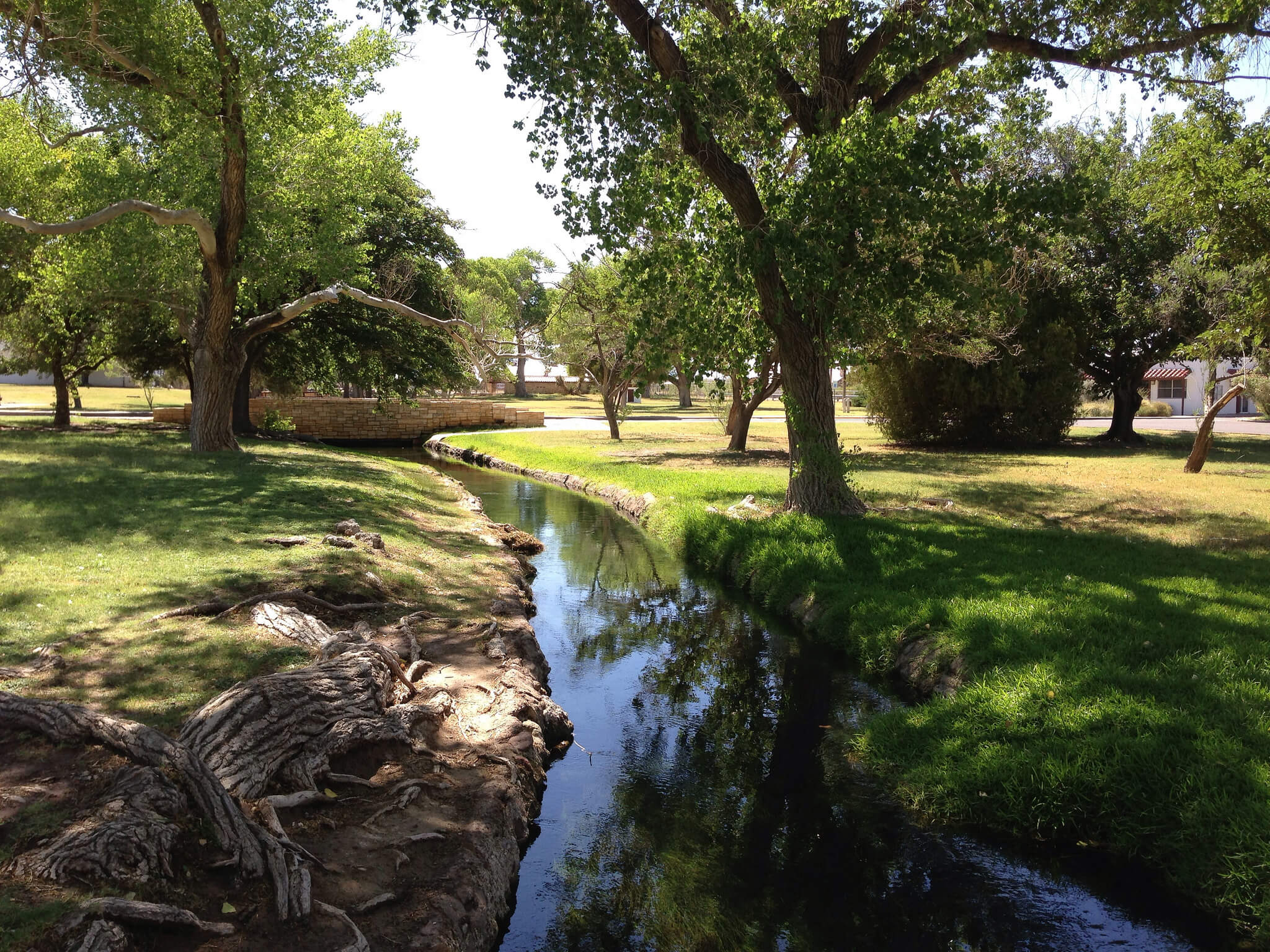 balmorheastateparkbrad balmorhea state park
