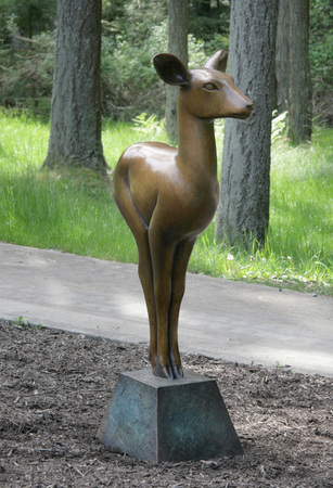 Medium