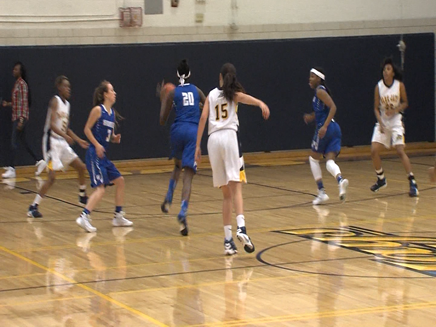 Woodbridge’s Anderson is Delaware’s Player of the Year