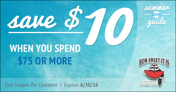 Lakeside Car Wash Coupon Lakeside Car Wash Coupon