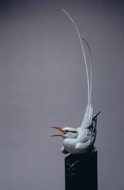 (Photo: Ward Museum)
