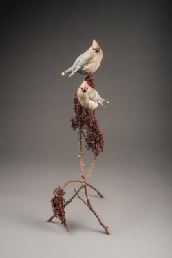 (Photo: Ward Museum)