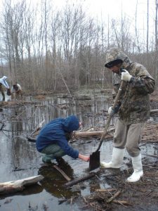 The reserve is in need of volunteers willing to restore it. (Photo Credit: Maryland Coastal Bays Program)