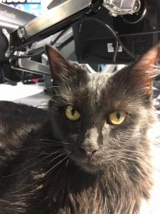 monty-4