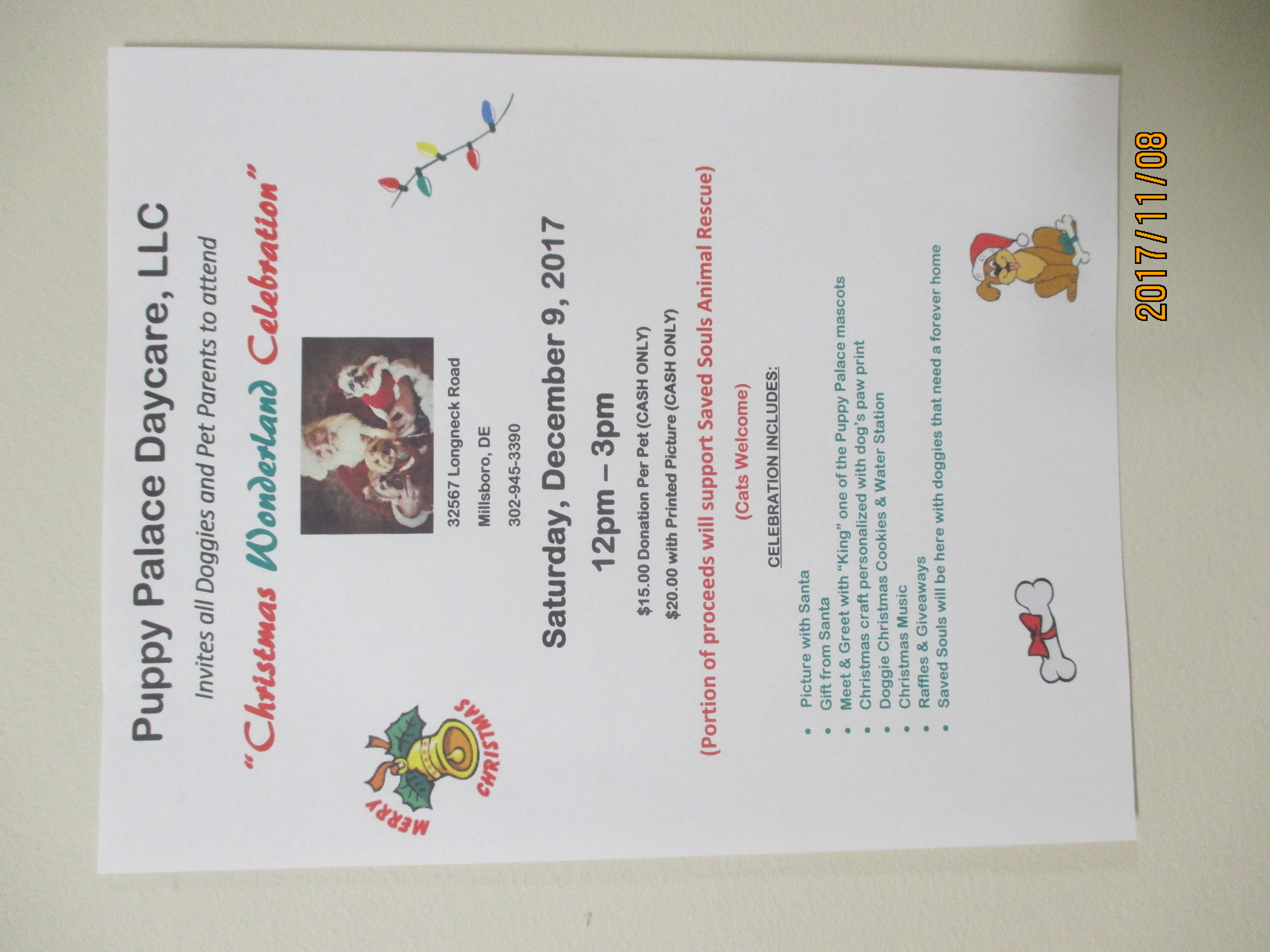 the puppy palace doggie day care