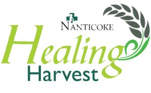 vendor fair to help stock shelves of inpatient food closet stockshelves