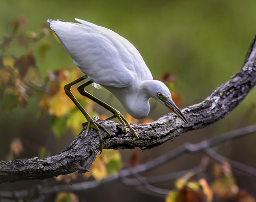 Md. DNR Annual Photo Contest Now Taking Submissions Md. DNR Annual Photo Contest Now Taking Submissions