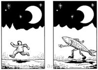 Fish Wish 26