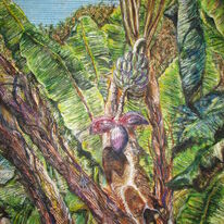 Banana Plant